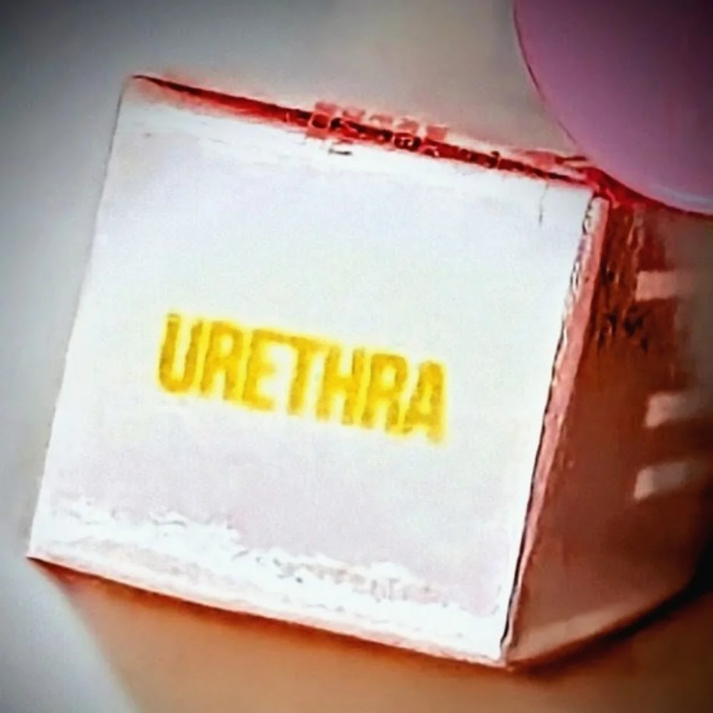 Jeffree Star Supreme Gloss Urethra NIB